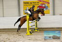 Filename=PT9_9603.JPG
Filesize=458KiB
Dimensions=1224x817
Date added=Oct 29, 2022 PT9_9603.JPG