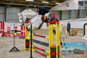 Filename=PT9_9619.JPG
Filesize=510KiB
Dimensions=1224x817
Date added=Oct 29, 2022 PT9_9619.JPG
