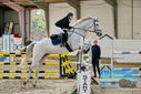Filename=PT9_9627.JPG
Filesize=454KiB
Dimensions=1224x817
Date added=Oct 29, 2022 PT9_9627.JPG