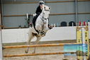 Filename=PT9_9629.JPG
Filesize=429KiB
Dimensions=1224x817
Date added=Oct 29, 2022 PT9_9629.JPG