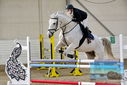 Filename=PT9_9630.JPG
Filesize=415KiB
Dimensions=1224x817
Date added=Oct 29, 2022 PT9_9630.JPG