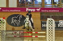 Filename=PT2_6503.JPG
Filesize=530KiB
Dimensions=1227x815
Date added=Jan 09, 2023 PT2_6503.JPG
