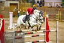 Filename=PT9_0033.JPG
Filesize=361KiB
Dimensions=1224x817
Date added=Jan 09, 2023 PT9_0033.JPG
