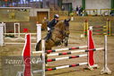 Filename=PT9_0049.JPG
Filesize=430KiB
Dimensions=1224x817
Date added=Jan 09, 2023 PT9_0049.JPG