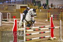 Filename=PT9_0054.JPG
Filesize=426KiB
Dimensions=1224x817
Date added=Jan 09, 2023 PT9_0054.JPG