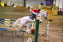 Filename=PT9_0074.JPG
Filesize=402KiB
Dimensions=1224x817
Date added=Jan 09, 2023 PT9_0074.JPG