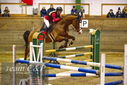 Filename=PT9_0140.JPG
Filesize=422KiB
Dimensions=1224x817
Date added=Jan 09, 2023 PT9_0140.JPG