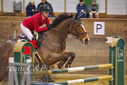 Filename=PT9_0146.JPG
Filesize=358KiB
Dimensions=1224x817
Date added=Jan 09, 2023 PT9_0146.JPG
