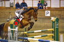 Filename=PT9_0151.JPG
Filesize=345KiB
Dimensions=1224x817
Date added=Jan 09, 2023 PT9_0151.JPG