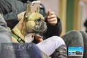Filename=PT9_0188logo.jpg
Filesize=448KiB
Dimensions=1224x817
Date added=Jan 09, 2023 PT9_0188logo.jpg