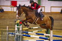 Filename=PT9_0213.JPG
Filesize=377KiB
Dimensions=1224x817
Date added=Jan 09, 2023 PT9_0213.JPG