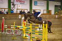 Filename=PT9_0221.JPG
Filesize=387KiB
Dimensions=1224x817
Date added=Jan 09, 2023 PT9_0221.JPG
