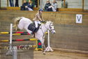 Filename=PT9_9817.JPG
Filesize=369KiB
Dimensions=1224x817
Date added=Jan 09, 2023 PT9_9817.JPG