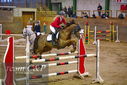 Filename=PT9_9824.JPG
Filesize=445KiB
Dimensions=1224x817
Date added=Jan 09, 2023 PT9_9824.JPG