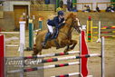 Filename=PT9_9848.JPG
Filesize=365KiB
Dimensions=1224x817
Date added=Jan 09, 2023 PT9_9848.JPG