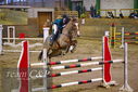 Filename=PT9_9859.JPG
Filesize=401KiB
Dimensions=1224x817
Date added=Jan 09, 2023 PT9_9859.JPG