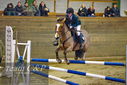 Filename=PT9_9866.JPG
Filesize=368KiB
Dimensions=1224x817
Date added=Jan 09, 2023 PT9_9866.JPG