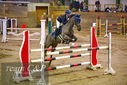 Filename=PT9_9942.JPG
Filesize=479KiB
Dimensions=1224x817
Date added=Jan 09, 2023 PT9_9942.JPG