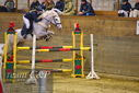 Filename=PT9_9959.JPG
Filesize=420KiB
Dimensions=1224x817
Date added=Jan 09, 2023 PT9_9959.JPG