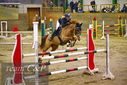 Filename=PT9_9964.JPG
Filesize=440KiB
Dimensions=1224x817
Date added=Jan 09, 2023 PT9_9964.JPG