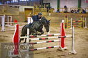 Filename=PT9_9981.JPG
Filesize=463KiB
Dimensions=1224x817
Date added=Jan 09, 2023 PT9_9981.JPG