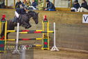 Filename=PT9_9985.JPG
Filesize=462KiB
Dimensions=1224x817
Date added=Jan 09, 2023 PT9_9985.JPG