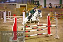 Filename=PT9_9991.JPG
Filesize=440KiB
Dimensions=1224x817
Date added=Jan 09, 2023 PT9_9991.JPG