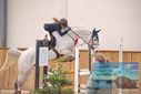 Filename=PT9_0254.JPG
Filesize=361KiB
Dimensions=1224x817
Date added=Jan 15, 2023 PT9_0254.JPG