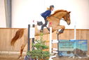 Filename=PT9_0295.JPG
Filesize=340KiB
Dimensions=1224x817
Date added=Jan 15, 2023 PT9_0295.JPG