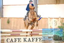 Filename=PT9_0300.JPG
Filesize=304KiB
Dimensions=1224x817
Date added=Jan 15, 2023 PT9_0300.JPG