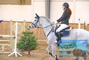 Filename=PT9_0399.JPG
Filesize=362KiB
Dimensions=1224x817
Date added=Jan 15, 2023 PT9_0399.JPG