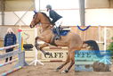 Filename=PT9_0409.JPG
Filesize=370KiB
Dimensions=1224x817
Date added=Jan 15, 2023 PT9_0409.JPG