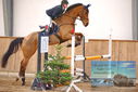 Filename=PT9_0411.JPG
Filesize=408KiB
Dimensions=1224x817
Date added=Jan 15, 2023 PT9_0411.JPG
