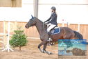 Filename=PT9_0425.JPG
Filesize=310KiB
Dimensions=1224x817
Date added=Jan 15, 2023 PT9_0425.JPG