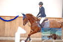 Filename=PT9_0452.JPG
Filesize=287KiB
Dimensions=1224x817
Date added=Jan 15, 2023 PT9_0452.JPG