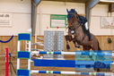 Filename=PT9_0479.JPG
Filesize=361KiB
Dimensions=1224x817
Date added=Jan 15, 2023 PT9_0479.JPG