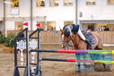 Filename=PT9_0507.JPG
Filesize=448KiB
Dimensions=1224x817
Date added=Jan 15, 2023 PT9_0507.JPG