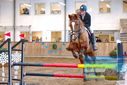 Filename=PT9_0509.JPG
Filesize=428KiB
Dimensions=1224x817
Date added=Jan 15, 2023 PT9_0509.JPG