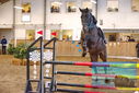 Filename=PT9_0575.JPG
Filesize=421KiB
Dimensions=1224x817
Date added=Jan 15, 2023 PT9_0575.JPG