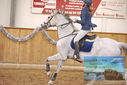 Filename=PT9_0598.JPG
Filesize=383KiB
Dimensions=1224x817
Date added=Jan 15, 2023 PT9_0598.JPG