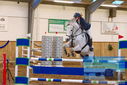 Filename=PT9_0603.JPG
Filesize=385KiB
Dimensions=1224x817
Date added=Jan 15, 2023 PT9_0603.JPG