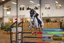 Filename=PT9_0693.JPG
Filesize=437KiB
Dimensions=1224x817
Date added=Jan 15, 2023 PT9_0693.JPG