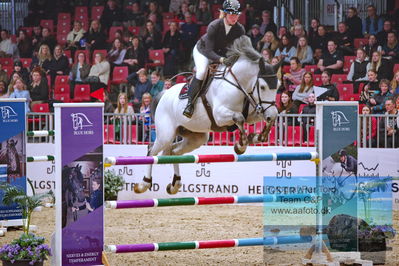 Kingsland CSI3 Medium Tour 140
Keywords: teike carstensen;mitch 37