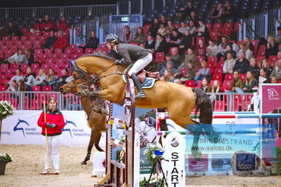 Kingsland CSI3 Medium Tour 140
Keywords: mans thijssen;hello