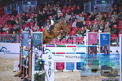 Kingsland CSI3 Medium Tour 140
Keywords: irma karlsson;chacconu