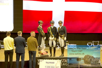 Vitamin Well Five Star Dressage / Vodskov Bolighus CDI5 Grand Prix Freestyle
Keywords: carina cassoe krüth;heiline&#039;s danciera;lone bang zindorff;nanna skodborg merrald;podie