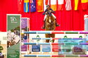 Filename=DSC_2293.JPG
Filesize=525KiB
Dimensions=1229x814
Date added=Mar 15, 2023 DSC_2293.JPG
