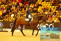 Filename=PT8_2201.JPG
Filesize=599KiB
Dimensions=1229x814
Date added=Mar 15, 2023 PT8_2201.JPG