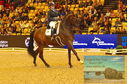 Filename=PT8_2202.JPG
Filesize=628KiB
Dimensions=1229x814
Date added=Mar 15, 2023 PT8_2202.JPG