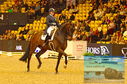 Filename=PT8_2205.JPG
Filesize=550KiB
Dimensions=1229x814
Date added=Mar 15, 2023 PT8_2205.JPG